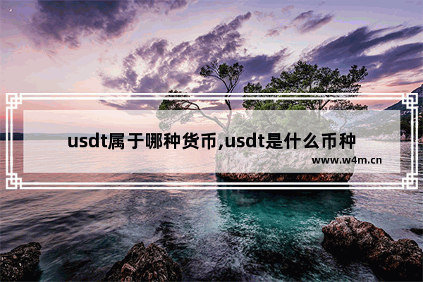 usdt属于哪种货币,usdt是什么币种汇率