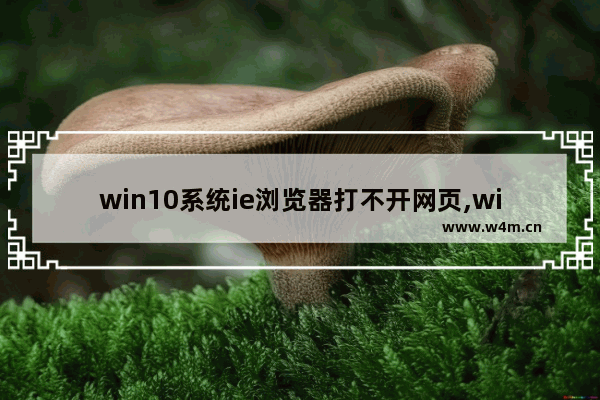 win10系统ie浏览器打不开网页,windows10的ie浏览器打不开