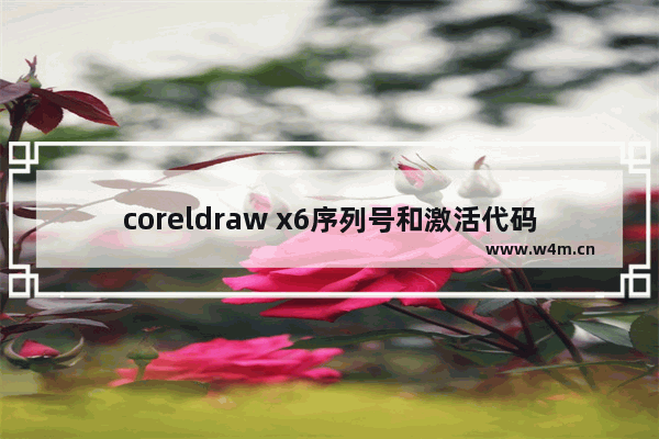 coreldraw x6序列号和激活代码,coreldrawx6序列号激活码最新