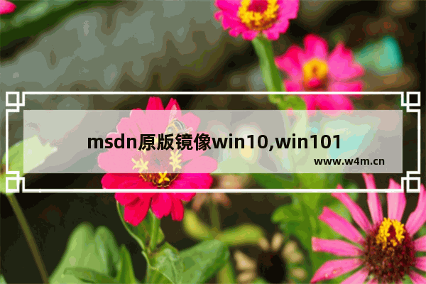 msdn原版镜像win10,win101909镜像