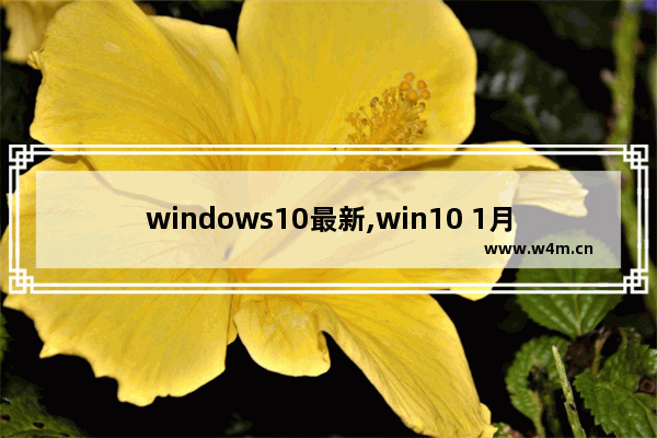 windows10最新,win10 1月更新