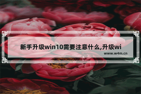 新手升级win10需要注意什么,升级windows10方法