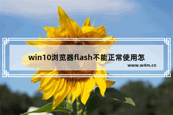 win10浏览器flash不能正常使用怎么办,win10不能用flashplayer