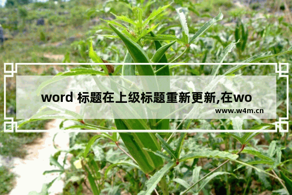 word 标题在上级标题重新更新,在word中标题样式和什么进行关联