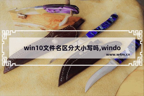 win10文件名区分大小写吗,windows文件夹区分大小写吗