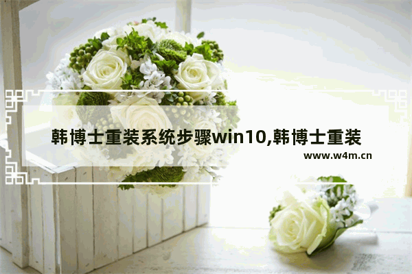 韩博士重装系统步骤win10,韩博士重装win10系统视频教程