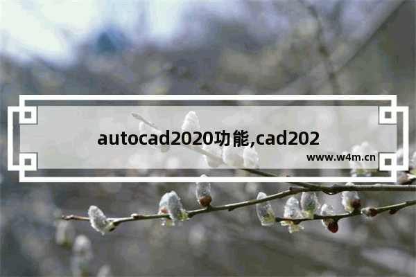 autocad2020功能,cad2020特性怎么调出来