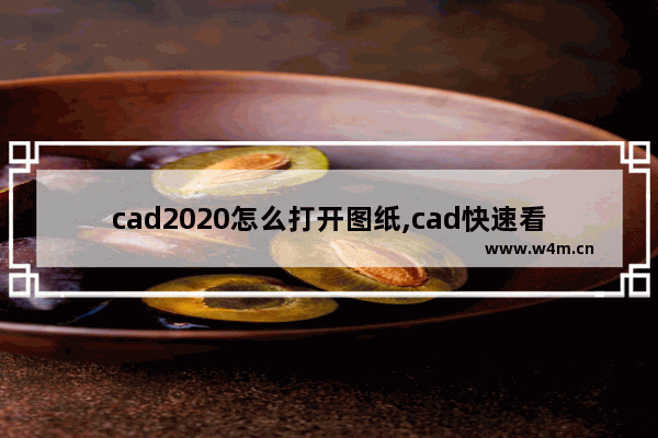 cad2020怎么打开图纸,cad快速看图能打开的图纸cad看不了