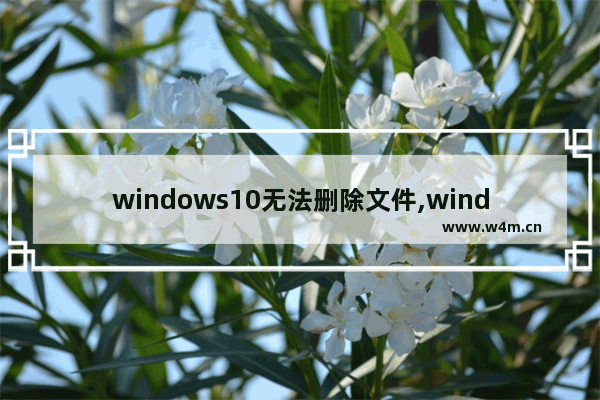 windows10无法删除文件,windows10不能删除文件怎么办