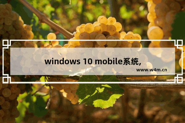 windows 10 mobile系统,