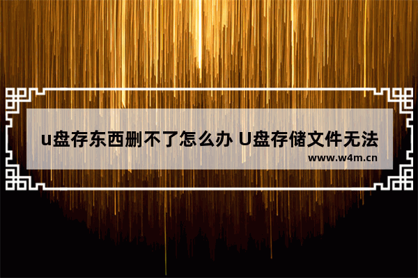 u盘存东西删不了怎么办 U盘存储文件无法删除，解决方法请看！