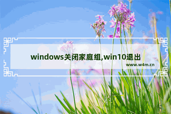 windows关闭家庭组,win10退出家庭组