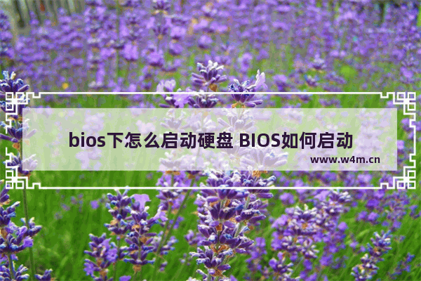 bios下怎么启动硬盘 BIOS如何启动硬盘