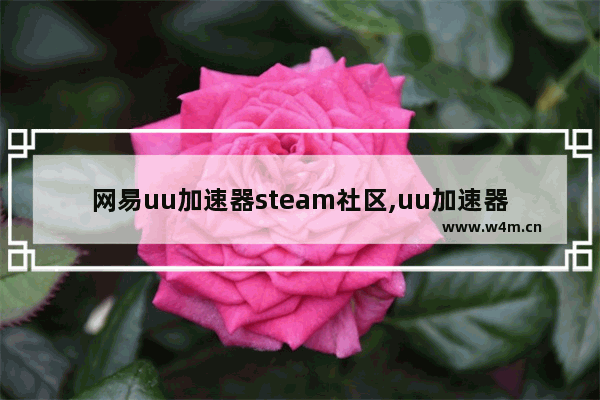 网易uu加速器steam社区,uu加速器为什么加速不了steam社区