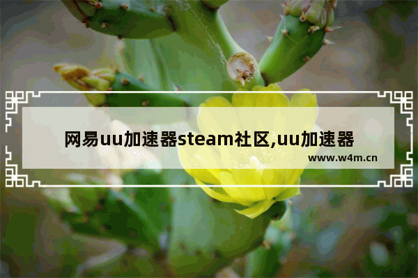 网易uu加速器steam社区,uu加速器为什么加速不了steam社区