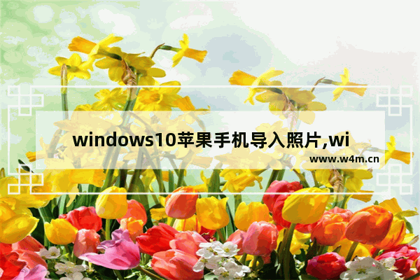 windows10苹果手机导入照片,win10如何导入苹果照片