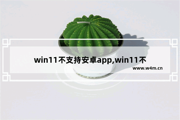 win11不支持安卓app,win11不能安装安卓app