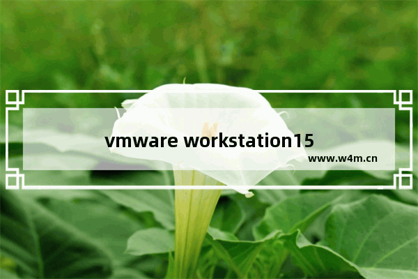 vmware workstation15许可证密钥是什么,vmware workstation16的许可证密钥