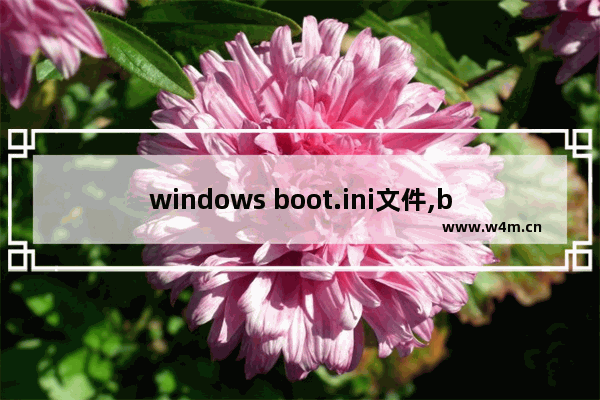 windows boot.ini文件,boot. ini文件