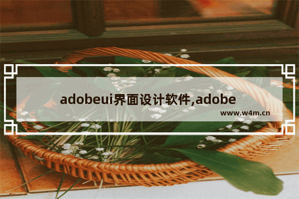 adobeui界面设计软件,adobe ui设计