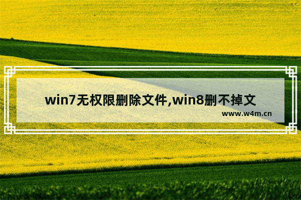 win7无权限删除文件,win8删不掉文件需要权限