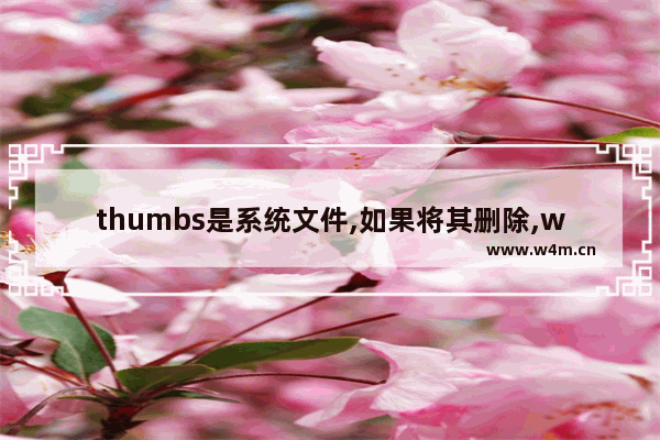 thumbs是系统文件,如果将其删除,windows,