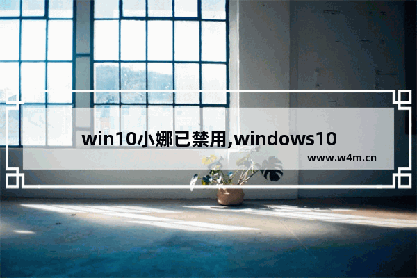 win10小娜已禁用,windows10小娜怎么卸载