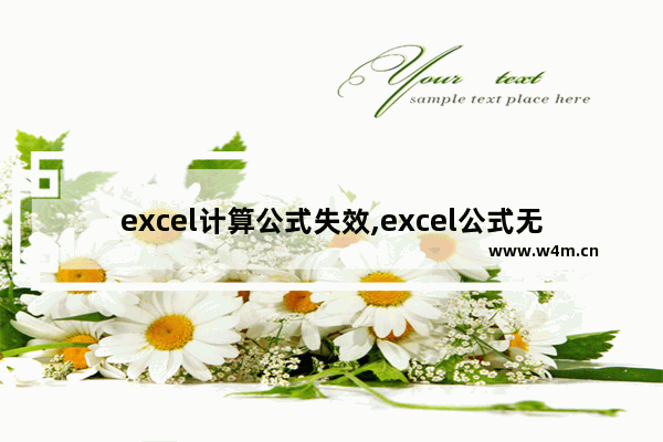 excel计算公式失效,excel公式无效的原因