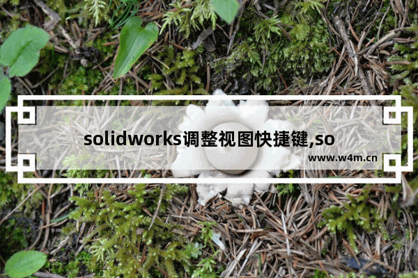 solidworks调整视图快捷键,solidworks主视图快捷键