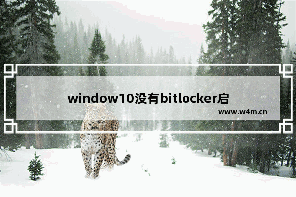 window10没有bitlocker启动了也找不到,win10bitlocker启动了找不到