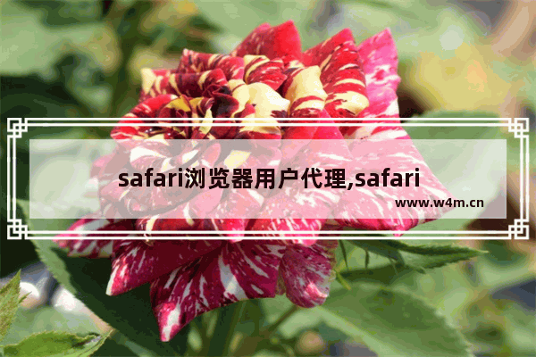 safari浏览器用户代理,safari 代理设置