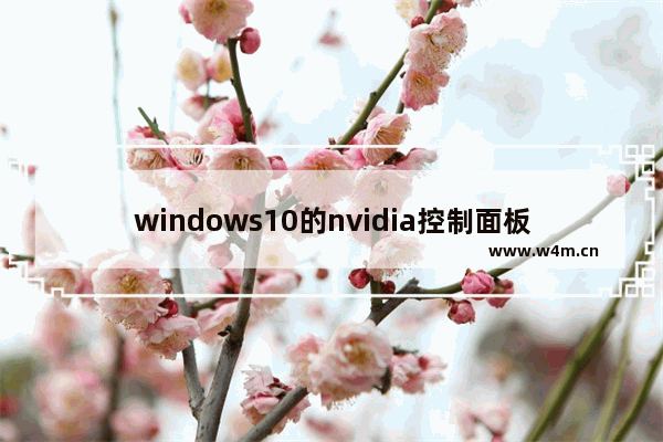 windows10的nvidia控制面板在哪里,NVIDIA控制面板怎么卸载