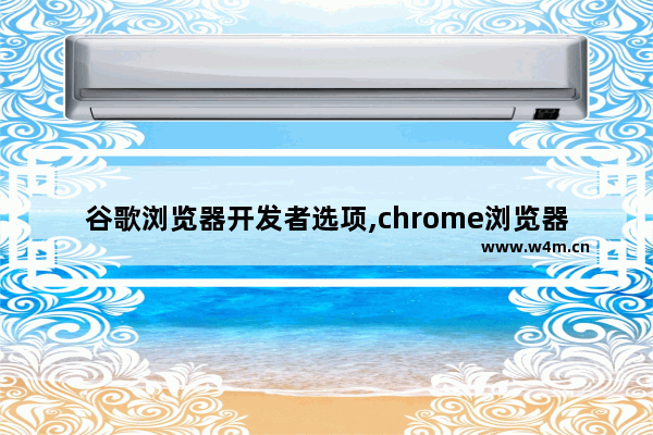 谷歌浏览器开发者选项,chrome浏览器主题