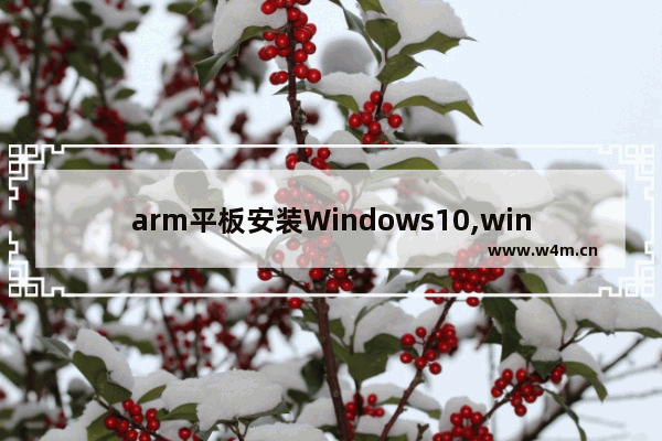 arm平板安装Windows10,windows arm 平板