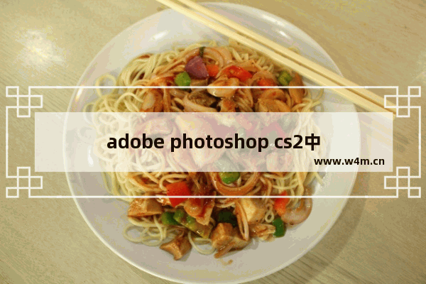 adobe photoshop cs2中文版下载,photoshopcs2注册