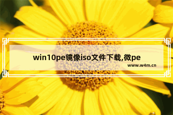 win10pe镜像iso文件下载,微pe安装win10 iso镜像教程