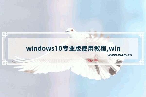 windows10专业版使用教程,windows10使用入门