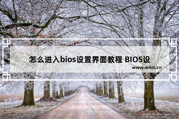 怎么进入bios设置界面教程 BIOS设置界面进入方法