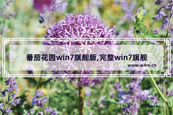 番茄花园win7旗舰版,完整win7旗舰版