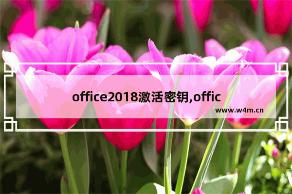 office2018激活密钥,office2016激活密钥最新