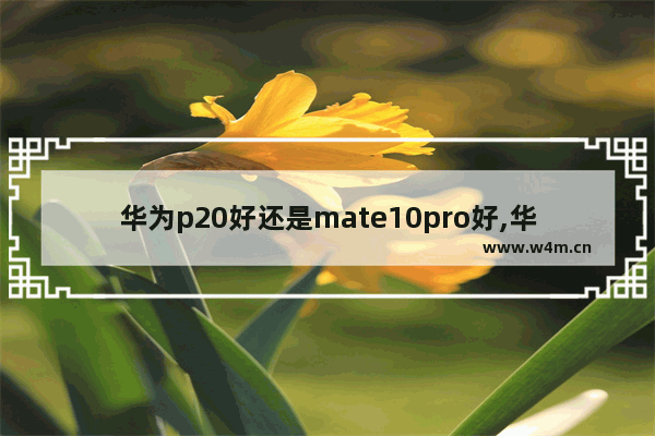 华为p20好还是mate10pro好,华为p20pro与华为mate10pro哪个好