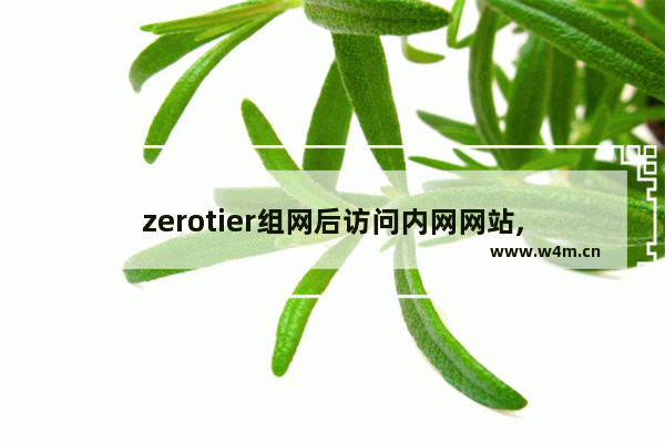 zerotier组网后访问内网网站,