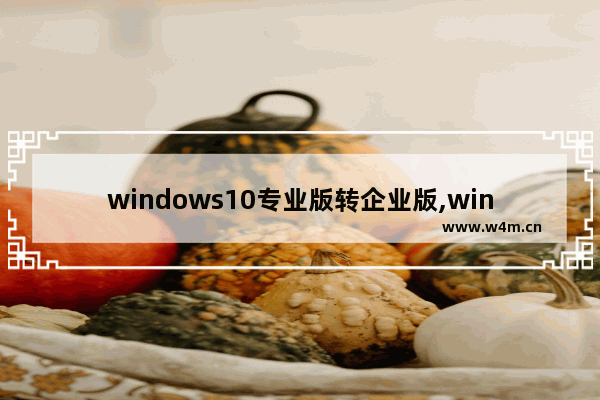 windows10专业版转企业版,win10企业版转为专业版