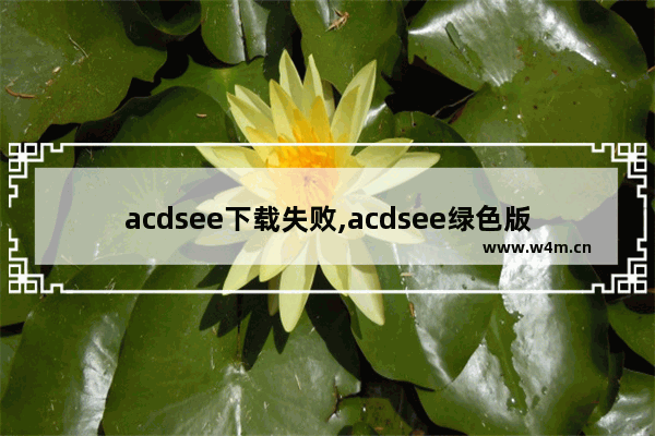 acdsee下载失败,acdsee绿色版免安装