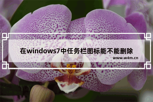 在windows7中任务栏图标能不能删除,win7任务栏显示桌面图标按钮