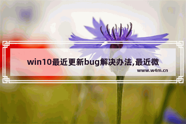 win10最近更新bug解决办法,最近微软10系统更新有bug