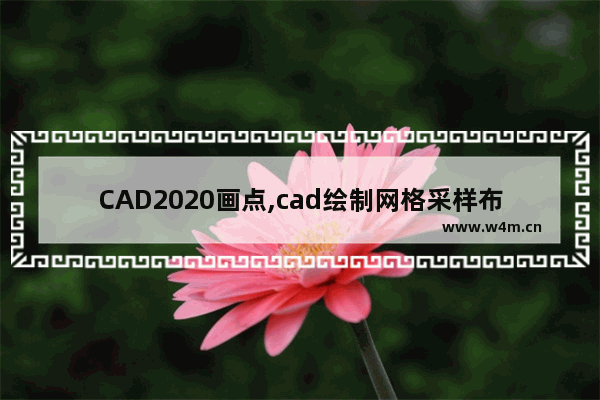 CAD2020画点,cad绘制网格采样布点图