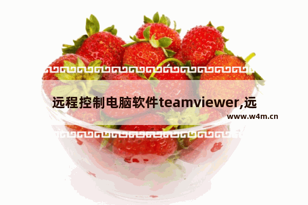 远程控制电脑软件teamviewer,远程软件teamviewer14