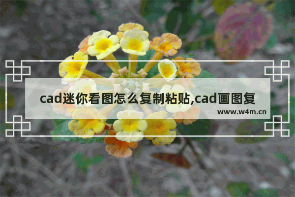 cad迷你看图怎么复制粘贴,cad画图复制怎么用