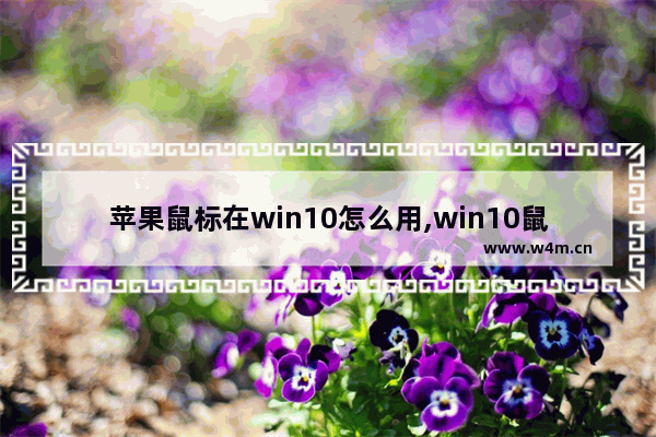 苹果鼠标在win10怎么用,win10鼠标滚轮方向